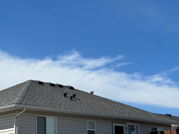 Best Roof Moss and Algae Removal  in Lebanon South, PA